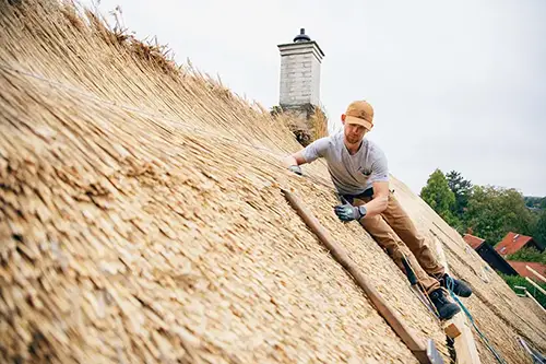 Billede af tækkemand fra Tækkekollektivet som er i gang med at lægge nyt stråtag