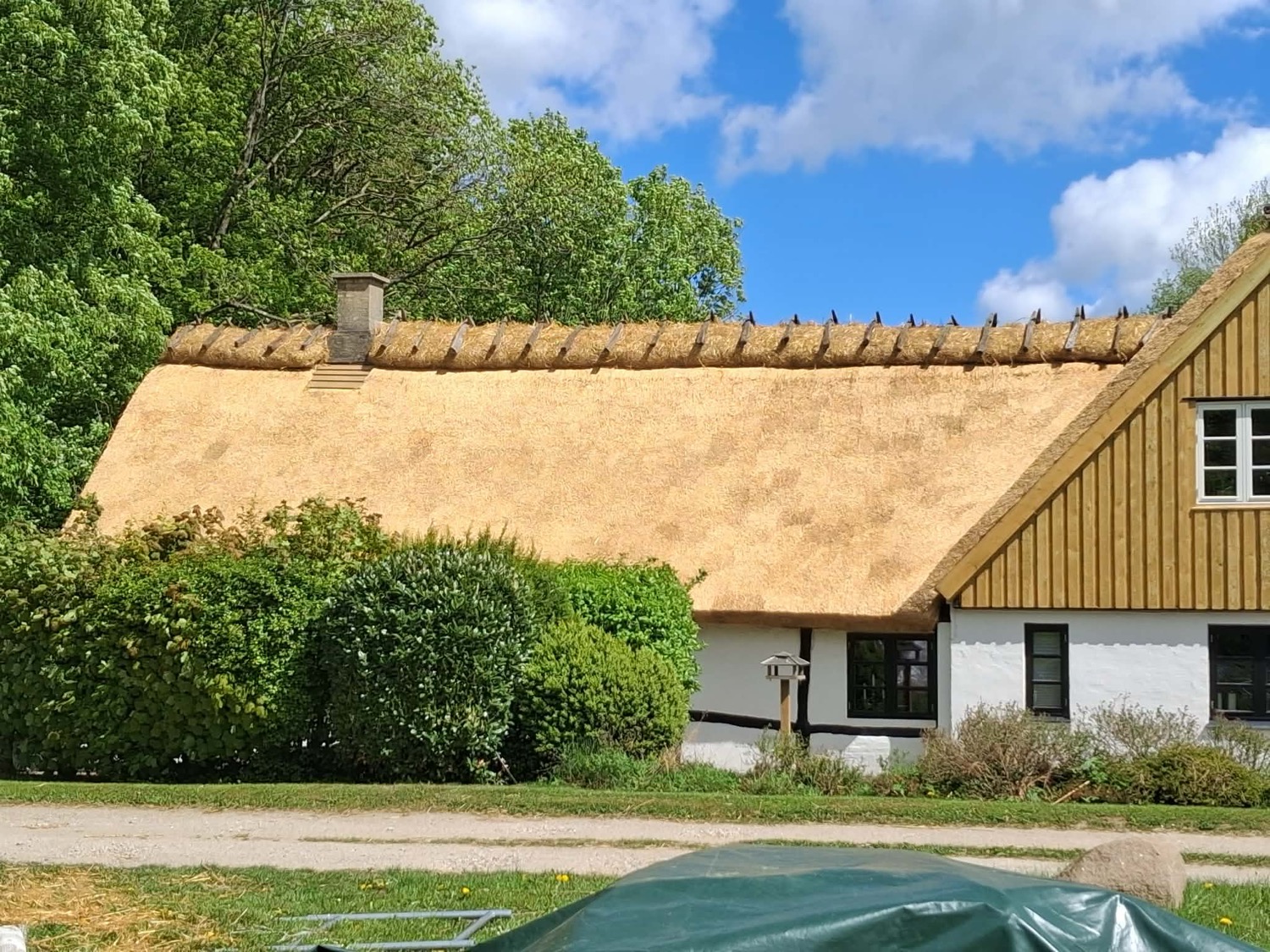 Den nye tagflade i lyst strå med kragetræer langs rygningen set fra vejen
